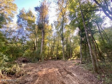 64 Wooded Acres - Prime Location Near I-55, Exit 13 - Fernwood - photo 14