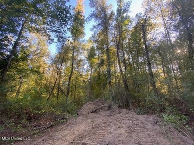 64 Wooded Acres - Prime Location Near I-55, Exit 13 - Fernwood - photo 15