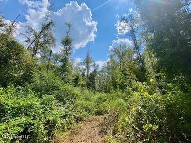 64 Wooded Acres - Prime Location Near I-55, Exit 13 - Fernwood - photo 21