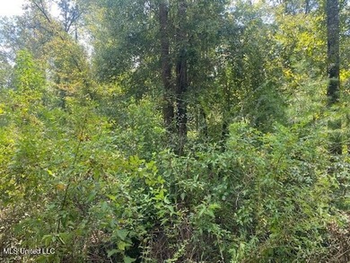 64 Wooded Acres - Prime Location Near I-55, Exit 13 - Fernwood - photo 23