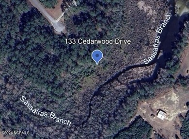 Ready for your custom home on the shore of the Neuse River? This - photo 3