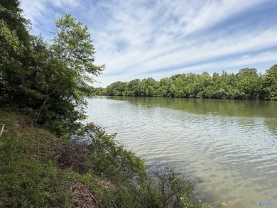 WATERFRONT + PRIVACY + 7.77 ACRES - If you are looking for - photo 16