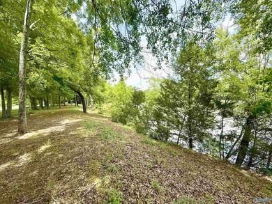 WATERFRONT + PRIVACY + 7.77 ACRES - If you are looking for - photo 21