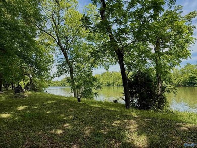 WATERFRONT + PRIVACY + 7.77 ACRES - If you are looking for - photo 22