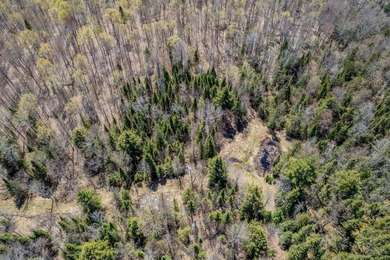 Ultimate Off-Grid Hunting Camp & Wilderness Retreat! Discover - photo 28