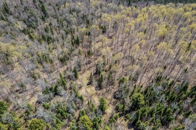 Ultimate Off-Grid Hunting Camp & Wilderness Retreat! Discover - photo 29
