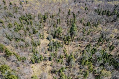 Ultimate Off-Grid Hunting Camp & Wilderness Retreat! Discover - photo 30