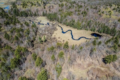 Ultimate Off-Grid Hunting Camp & Wilderness Retreat! Discover - photo 31
