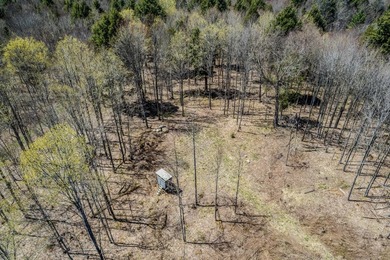 Ultimate Off-Grid Hunting Camp & Wilderness Retreat! Discover - photo 34