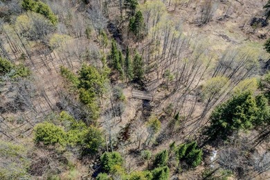 Ultimate Off-Grid Hunting Camp & Wilderness Retreat! Discover - photo 35