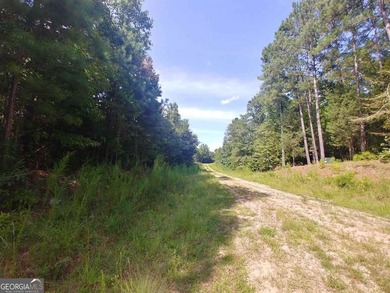 Beautiful wooded lot in the Patriots Point community. Gentle - photo 7