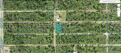 Lake Weohyakapka Lot For Sale in Indian Lake Estates Florida