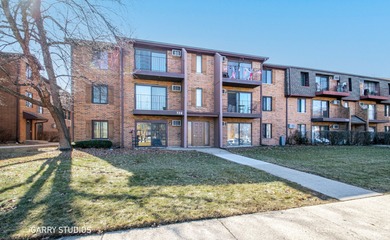 (private lake, pond, creek) Condo Active Under Contract in Addison Illinois