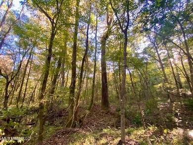 85 Wooded Acres - Prime Location Near I-55, Exit 13 - Fernwood - photo 11