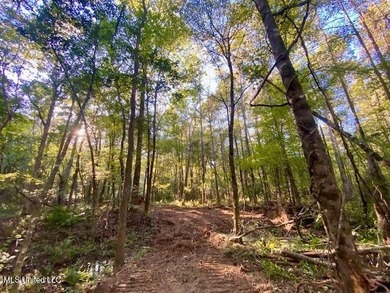 85 Wooded Acres - Prime Location Near I-55, Exit 13 - Fernwood - photo 12