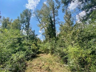 85 Wooded Acres - Prime Location Near I-55, Exit 13 - Fernwood - photo 16