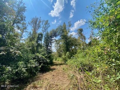 85 Wooded Acres - Prime Location Near I-55, Exit 13 - Fernwood - photo 17