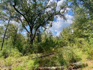 85 Wooded Acres - Prime Location Near I-55, Exit 13 - Fernwood - photo 18