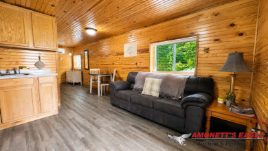 Cabin #6 - 1 Bedroom, 1 Bathroom, 400 sqft. - photo 4