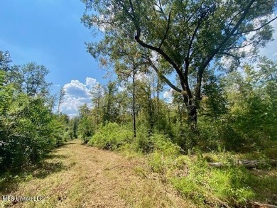 85 Wooded Acres - Prime Location Near I-55, Exit 13 - Fernwood - photo 19