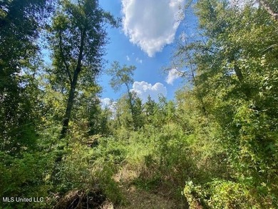 85 Wooded Acres - Prime Location Near I-55, Exit 13 - Fernwood - photo 20