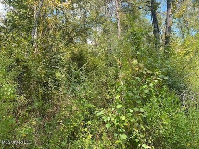 85 Wooded Acres - Prime Location Near I-55, Exit 13 - Fernwood - photo 22