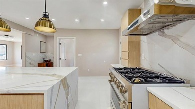 Welcome to this one-of-a-kind, fully gut-renovated 3-level - photo 10