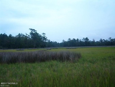 Acreage! Prime Property and a great opportunity for future - photo 3