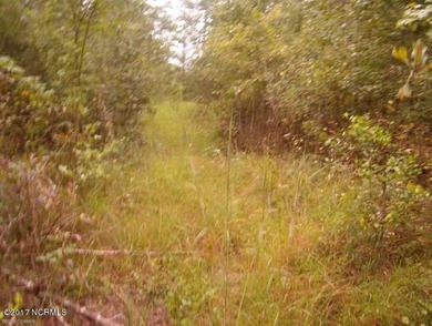 Acreage! Prime Property and a great opportunity for future - photo 4