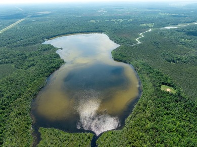 TURTLE LAKE / OTSEGO COUNTY, MI 1,408.88 Acres, 170+/- Acre - photo 13
