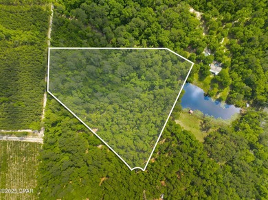 (private lake, pond, creek) Acreage For Sale in Chipley Florida