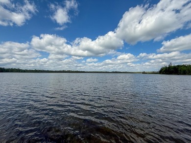TURTLE LAKE / OTSEGO COUNTY, MI 1,408.88 Acres, 170+/- Acre - photo 32