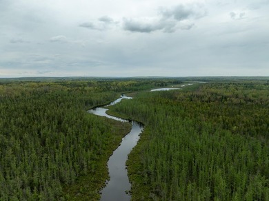 TURTLE LAKE / OTSEGO COUNTY, MI 1,408.88 Acres, 170+/- Acre - photo 34