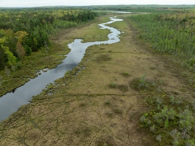TURTLE LAKE / OTSEGO COUNTY, MI 1,408.88 Acres, 170+/- Acre - photo 37