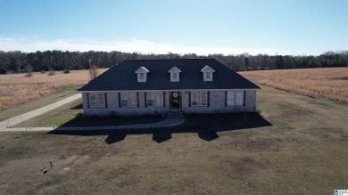 Lake Home For Sale in Lincoln, Alabama