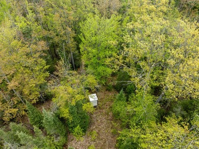TURTLE LAKE / OTSEGO COUNTY, MI 1,408.88 Acres, 170+/- Acre - photo 41