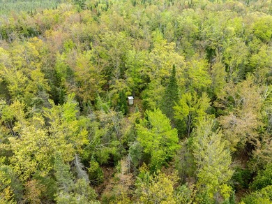 TURTLE LAKE / OTSEGO COUNTY, MI 1,408.88 Acres, 170+/- Acre - photo 42