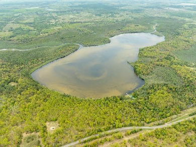 TURTLE LAKE / OTSEGO COUNTY, MI 1,408.88 Acres, 170+/- Acre - photo 44