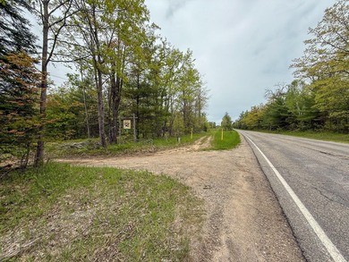 TURTLE LAKE / OTSEGO COUNTY, MI 1,408.88 Acres, 170+/- Acre - photo 46