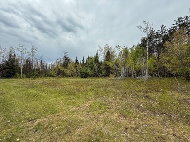 TURTLE LAKE / OTSEGO COUNTY, MI 1,408.88 Acres, 170+/- Acre - photo 48