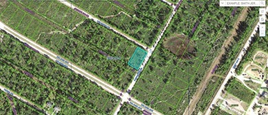 Lake Weohyakapka Lot For Sale in Indian Lake Estates Florida