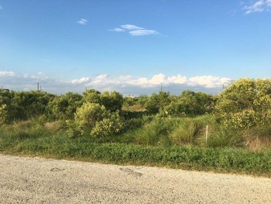 Dead Caney Lake Lot Sale Pending in Sargent Texas
