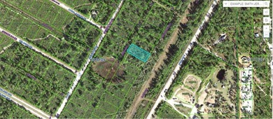 Lake Weohyakapka Lot For Sale in Indian Lake Estates Florida