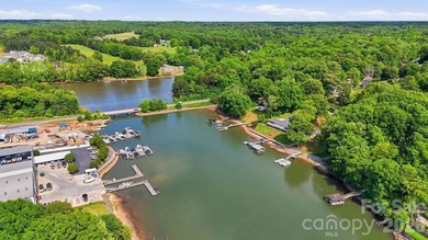 Enjoy the best of lake living in this beautifully designed - photo 48