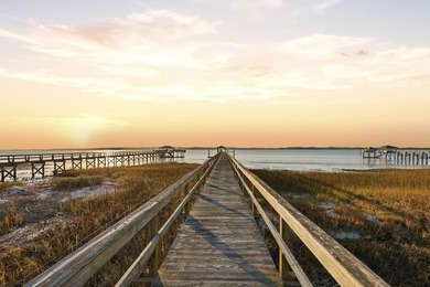 Gorgeous Lowcountry home located on true deep water in the - photo 49