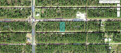 Lake Weohyakapka Lot For Sale in Indian Lake Estates Florida