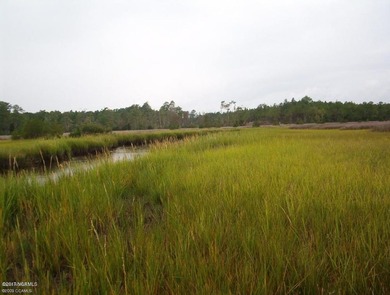 Neuse River Acreage For Sale in Beaufort North Carolina