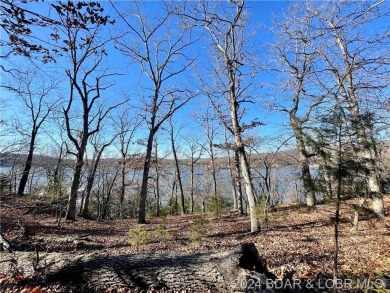 Lake Lot For Sale in Roach, Missouri