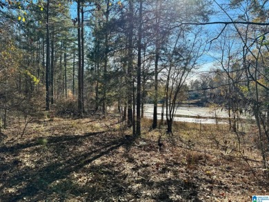 Rare Find! Unrestricted acreage with 725 feet of shoreline SOLD - Lake Acreage SOLD! in Wedowee, Alabama
