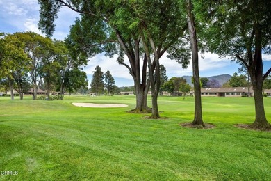 Step into 23115 Village 23 and feel the rare sense of privacy - photo 26